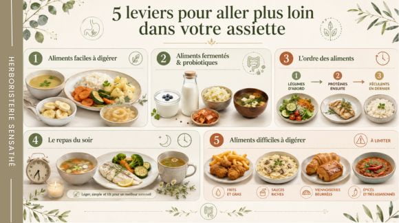5 conseils alimentaires pour mieux digérer  aliments faciles à digérer, probiotiques, ordre des aliments, dîner léger et aliments à limiter - Herboristerie Sensathé